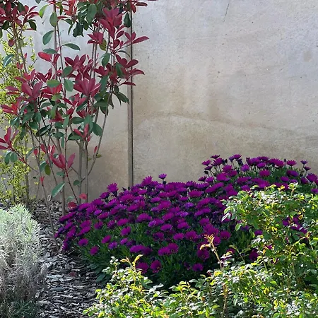 Villa Torriciola Location Casa Lea