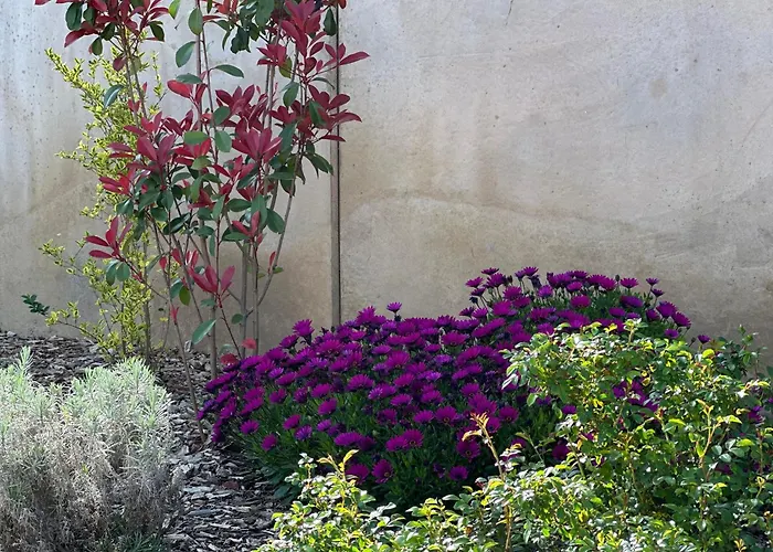 Villa Torriciola Location Casa Lea